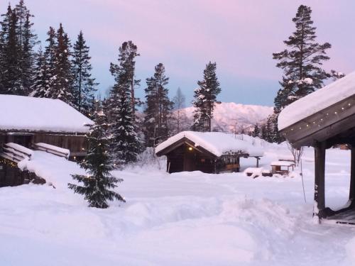 a cabin in the snow with snow covered trees at Raulandsakademiet in Rauland