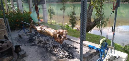 a dead animal laying on the ground in a yard at Prenoćište na Drini Foča in Foča