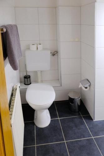 a small bathroom with a toilet and a shower at Haus Magdalene in Bad Schwartau