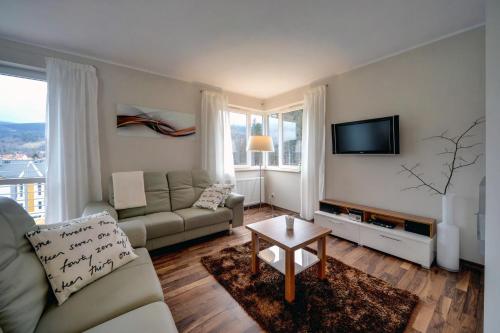 a living room with a couch and a tv at Apartamenty Sun Seasons 24 - Izery in Świeradów-Zdrój