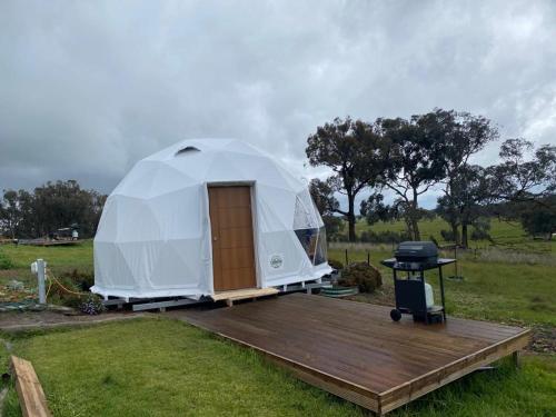 Zahrada ubytování Euroa Glamping