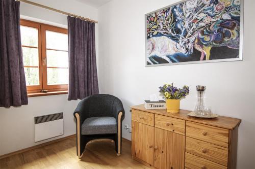 a chair sitting next to a wooden dresser in a room at Penzion Linden in Oldřiš