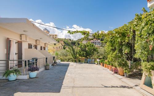 a street in front of a house with plants at Maria’s room in Argasi