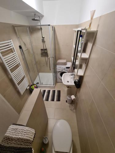 a small bathroom with a shower and a toilet at EDA Beach Galerius Apartman in Siófok