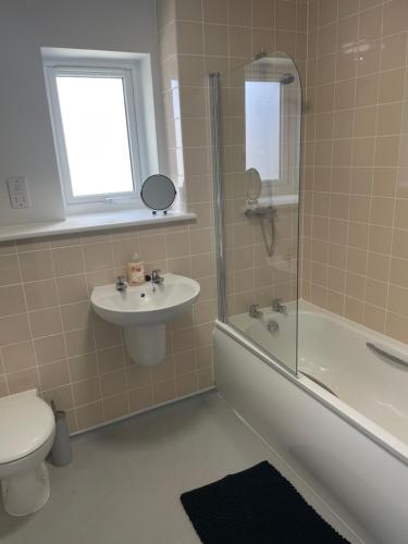 a bathroom with a toilet and a sink and a shower at 2 Plas Morolwg in Aberystwyth