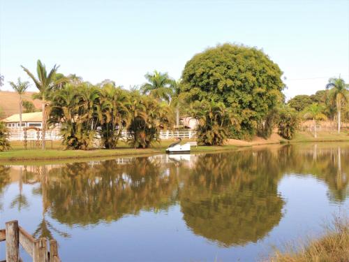 a boat on a river with palm trees in the background at Hotel Fazenda Raiz Mineira - Estamos a 21,2 km de Carmo do Rio Claro in Conceição da Aparecida