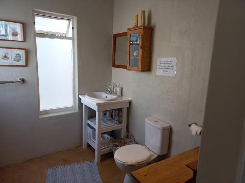 a bathroom with a toilet and a sink at Onrus Garden Cottage, Sunny and Spacious in Hermanus