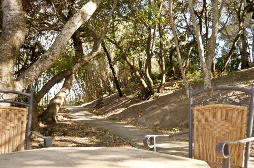 a path with two chairs and trees in a park at Agroturisme s' Horta in Capdepera