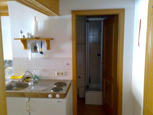 a small kitchen with a sink and a shower at Familienferienhof Sell´s Scheune in Sundhausen