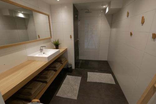 uma casa de banho com um lavatório e um chuveiro em Boothuis 64 Harderwijk em Harderwijk