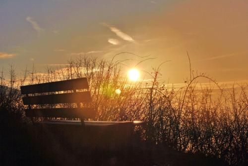 a bench sitting in front of the sunset at Hotel Im Schulhaus in Lorch am Rhein