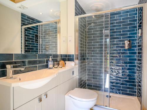 a bathroom with a toilet and a sink and a shower at The Hovel in Fenny Compton