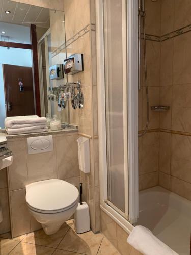 a bathroom with a toilet and a shower at Private Suite im Gebäude des Graf Eberhard Hotels in Bad Urach