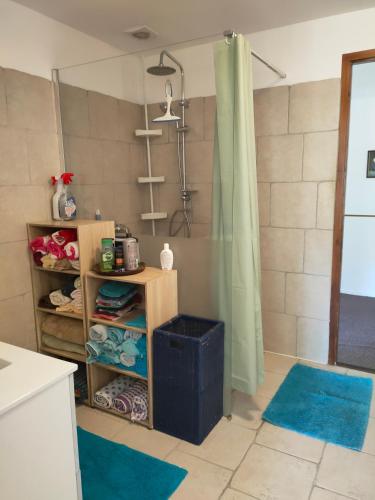 La salle de bains est pourvue d'une douche et de tapis bleus. dans l'établissement apartment, gite by the canal l Est,river Coney vosges france, à Fontenoy-le-Château