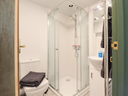 une salle de bains avec douche, toilettes et lavabo dans l'établissement The Brake Wagon at High Barn Heritage, à Halstead