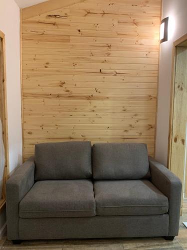 a couch in a room with a wooden wall at Cabañas El jardín de Jacinta in Coihaique