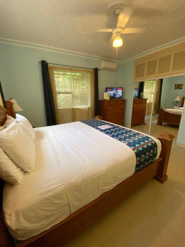 a bedroom with a large bed and a television at All Nations Guest House in Port Antonio