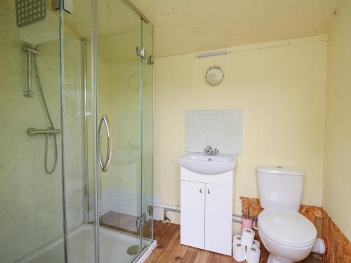 a bathroom with a shower and a toilet and a sink at Brown Hare Shepherds Hut in Brecon