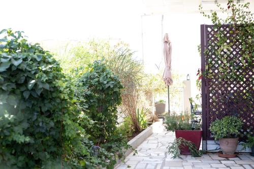 Gallery image of Kate-Mari studios in Skala Kefalonias