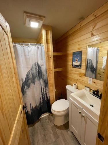 a bathroom with a toilet and a sink at Newly Remodeled Motel in Gatlinburg! in Gatlinburg