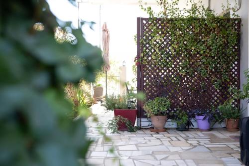 Gallery image of Kate-Mari studios in Skala Kefalonias