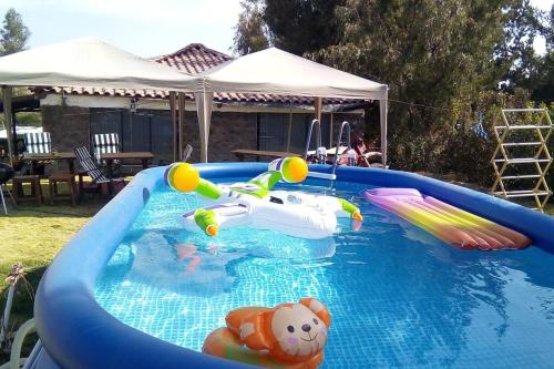 Un tobogán de agua en una piscina con un osito de peluche. en Casa de Campo Arequipa - Disfruta de la naturaleza, en Arequipa