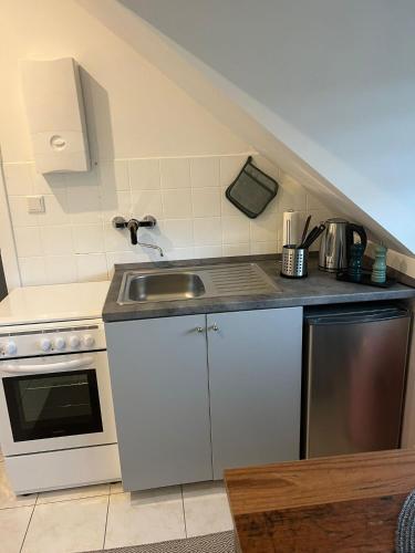 Η κουζίνα ή μικρή κουζίνα στο 25 qm Ferienwohnung Neuss Furth