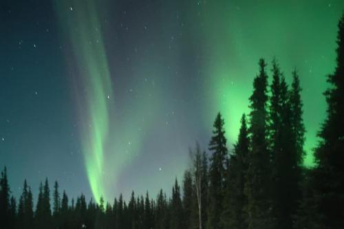 Skip the lights tour, and enjoy them from here!