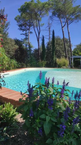 - une piscine avec des fleurs violettes en face dans l'établissement Villa La Ginestra - Charming Country Home, à Capolona