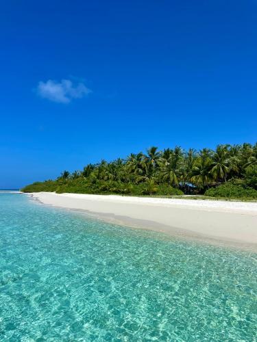 a beach with palm trees and the ocean at Samura Panorama Guest House in Thulusdhoo
