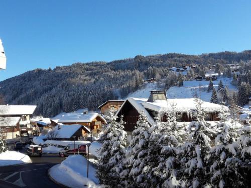T3 duplex lumineux, proche pistes, parking, Wi-Fi