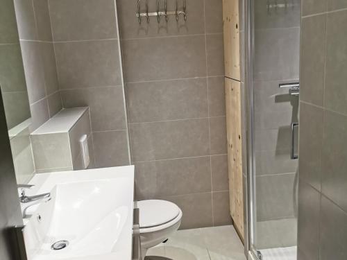 une salle de bain avec toilettes, lavabo et douche dans l'établissement Charmant T2 cab au cœur du vieux village des Gets, balcon, proximité pistes et commerces, 3 étoiles - FR-1-598-20, aux Gets