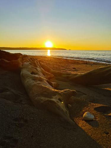 a sunset on a beach with the sun setting at Chowa lodge in Nuquí
