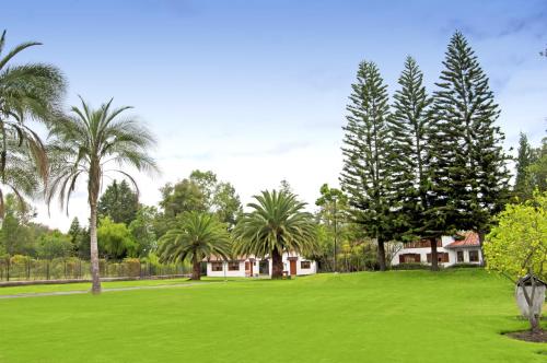 a large green yard with palm trees and houses at Quinta La Constanza in Tababela