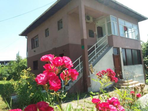 een huis met roze bloemen ervoor bij Kuća sa apartmanom in Sarajevo