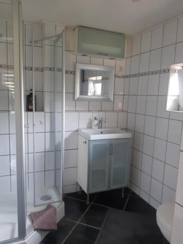 a bathroom with a sink and a shower and a toilet at De Steegberg Holiday Home in Sevenum
