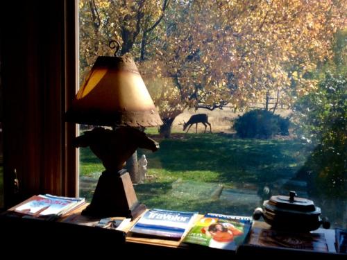 Κήπος έξω από το Yellowstone Cattle Baron EnSuite, Private Entrance & Parking - Prairie Rose B&B