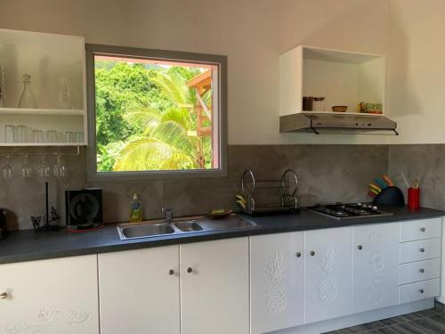 a kitchen with a sink and a window at APPARTEMENT MILO 1 in Bouillante