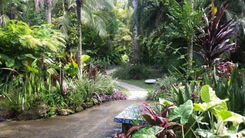 a garden with a bench and many plants at Piscina Natural on the Sea in Cahuita