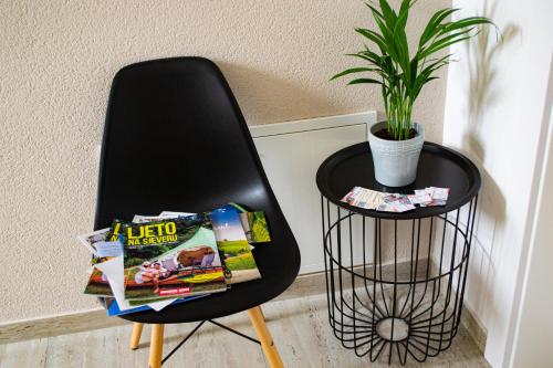 a black chair with magazines on it next to a plant at Kraljeva hiža - Apartmani i sobe Kralj in Sveti Martin na Muri
