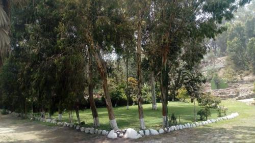 Gallery image of casa campestre marina in Chaclacayo