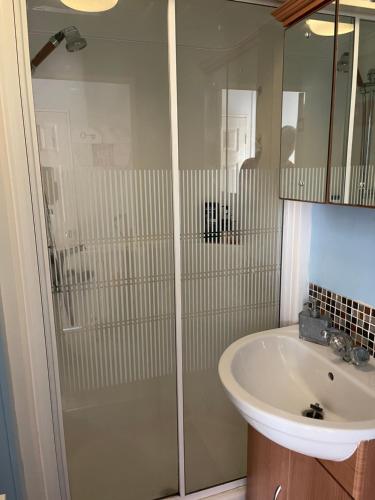 a bathroom with a shower and a sink at Turnberry Holiday Park fantastic Seaview in Girvan