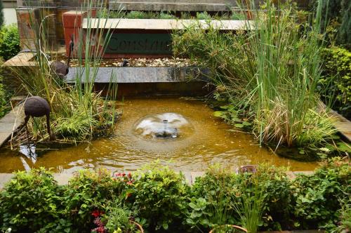 Taman di luar Constantia Manor Guest House