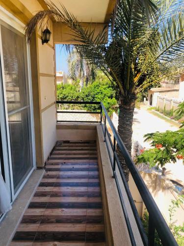 a staircase leading up to a house with a palm tree at Lovely Villa 5- bedroom with Overflow Pool with Nice Garden at Green Oasis Resort in Alexandria