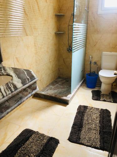 a bathroom with a shower and a toilet and a sink at Lovely Villa 5- bedroom with Overflow Pool with Nice Garden at Green Oasis Resort in Alexandria