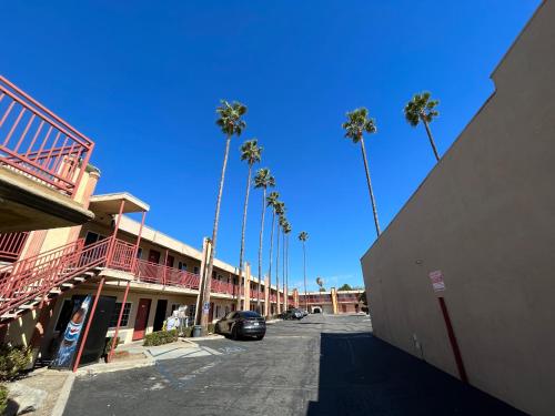 un parking avec des palmiers en face d'un bâtiment dans l'établissement Palm Tree Inn, à North Hills