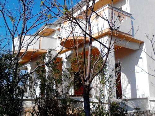 a white building with a tree in front of it at Apartments Krešimir beauty with shadow trees and parking place in Pag