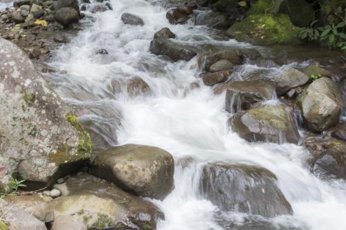 a stream of water rushing over rocks in a river at Bosque de Paz Reserva Biologica in Toro Amarillo