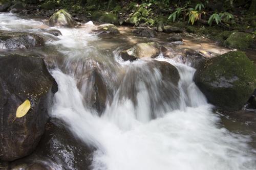 a stream of water rushing over some rocks at Bosque de Paz Reserva Biologica in Toro Amarillo
