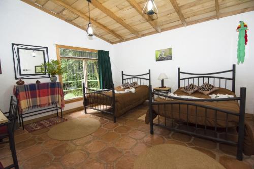 ein Zimmer mit 2 Betten und einem Sofa darin in der Unterkunft Bosque de Paz Reserva Biologica in Toro Amarillo